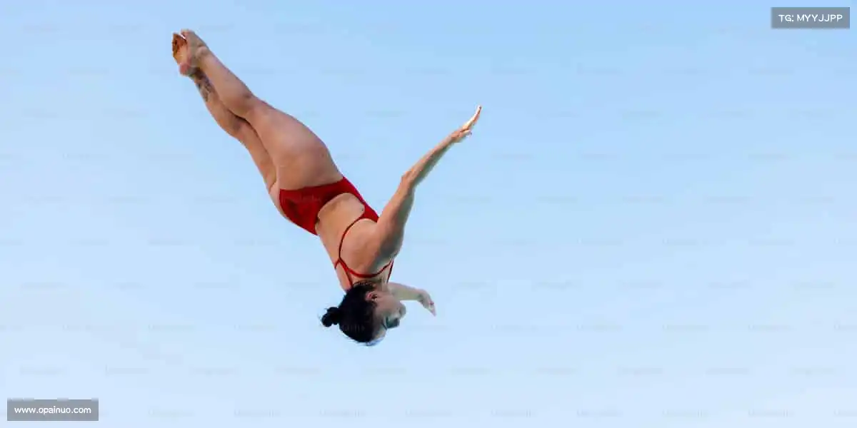 行业领先的理由